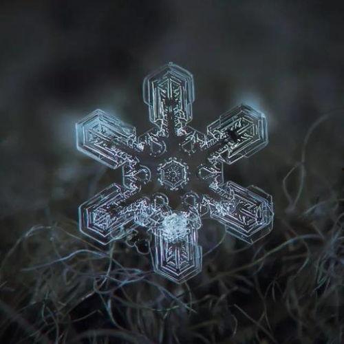 第八卦限,探索未知领域的神秘之旅